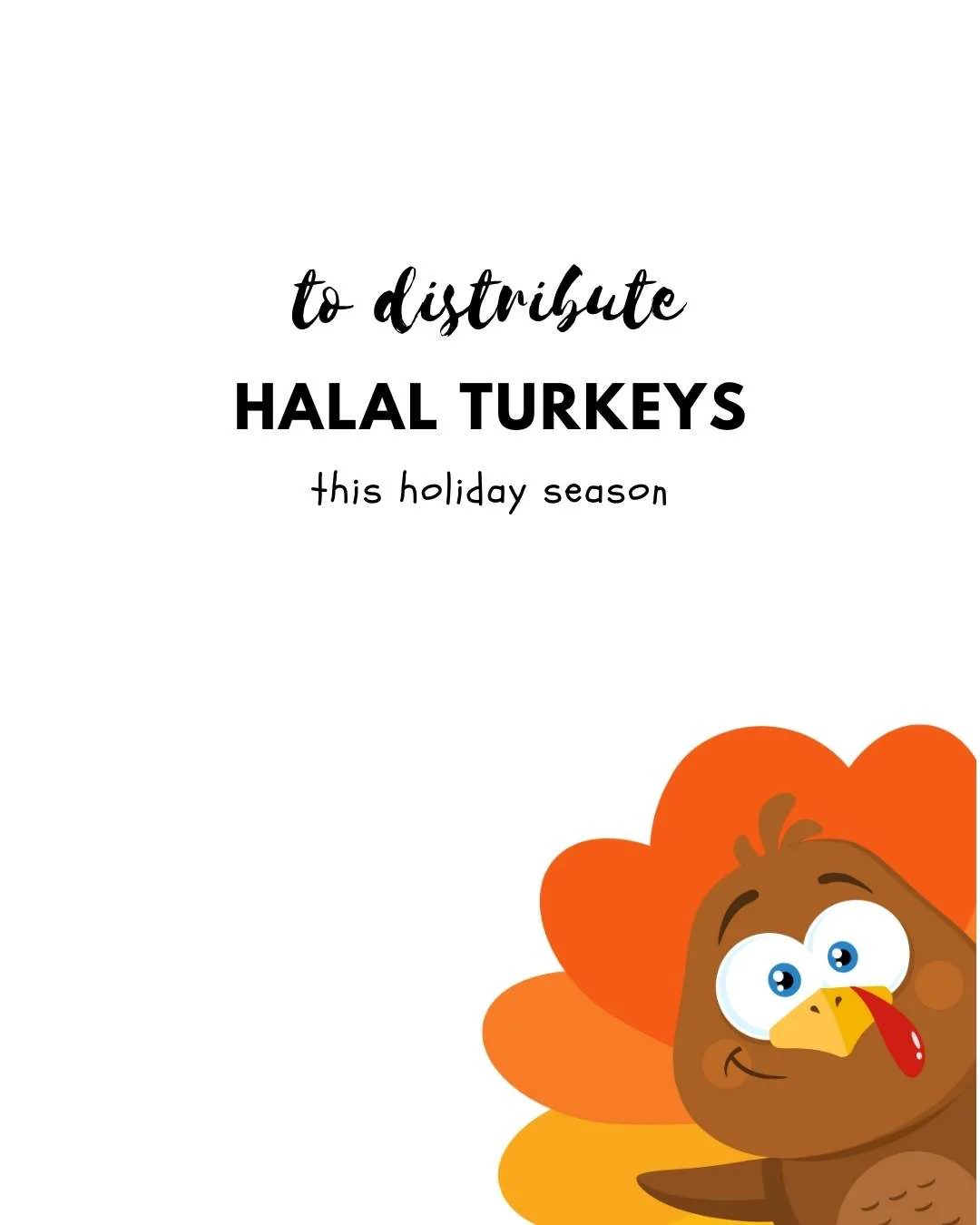 Donate a Turkey - Image 3